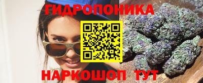 сатива Гудермес