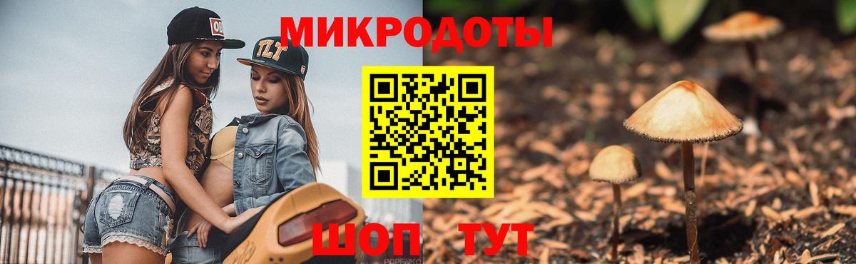Галлюциногенные грибы мицелий  купить наркоту  Городец  Вход с VPN 